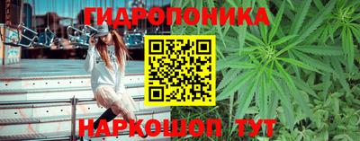 прущий лед Будённовск