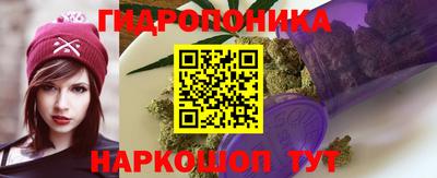 ГАЛЛЮЦИНОГЕННЫЕ ГРИБЫ Гусь-Хрустальный